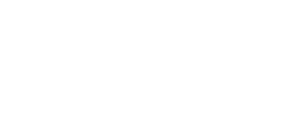 wonz-logo Wools of New Zealand